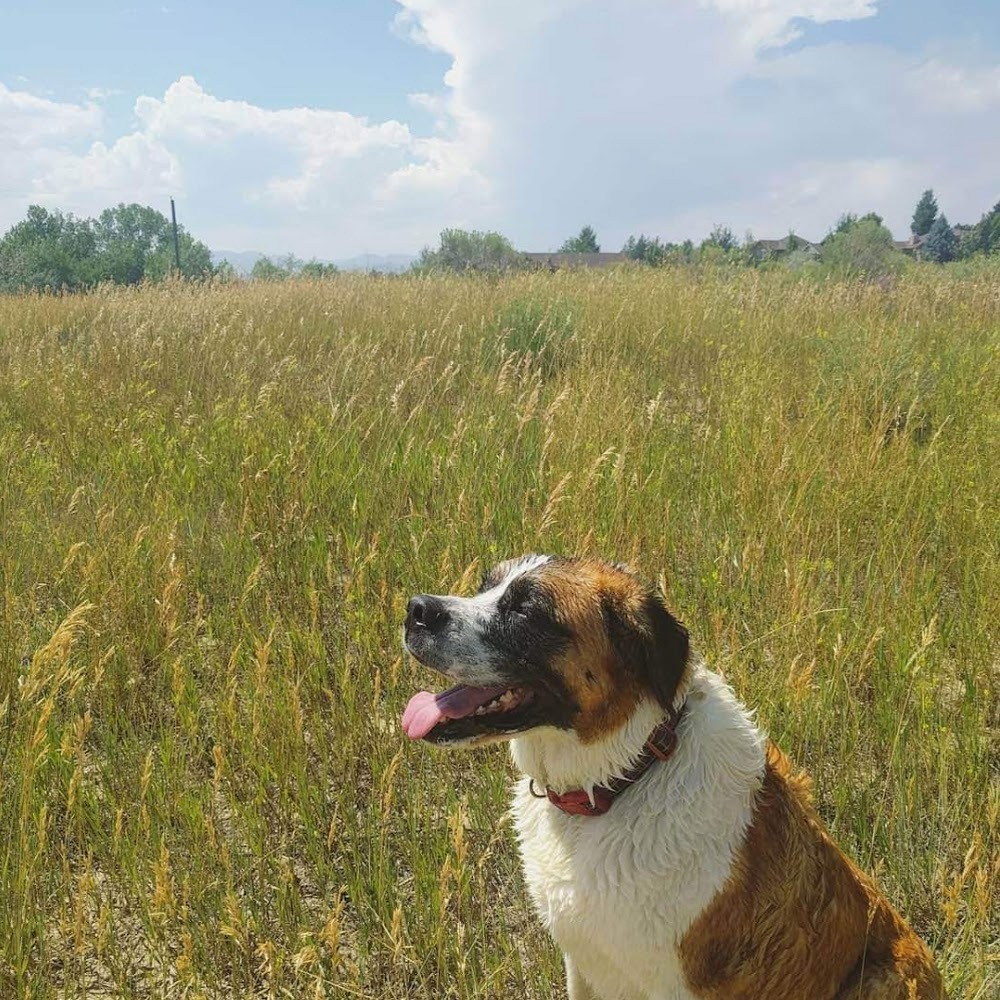 Meet your Posher, Adeline